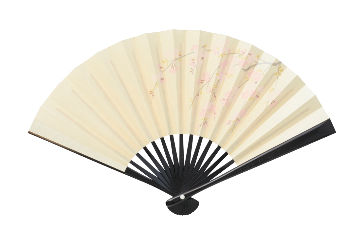 茶道用 桜 茶道用 桜