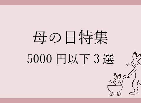 母の日 プレゼント用扇子三選(5,000円以下編)