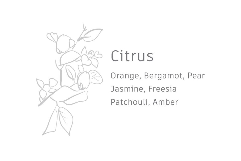 hg-citrus