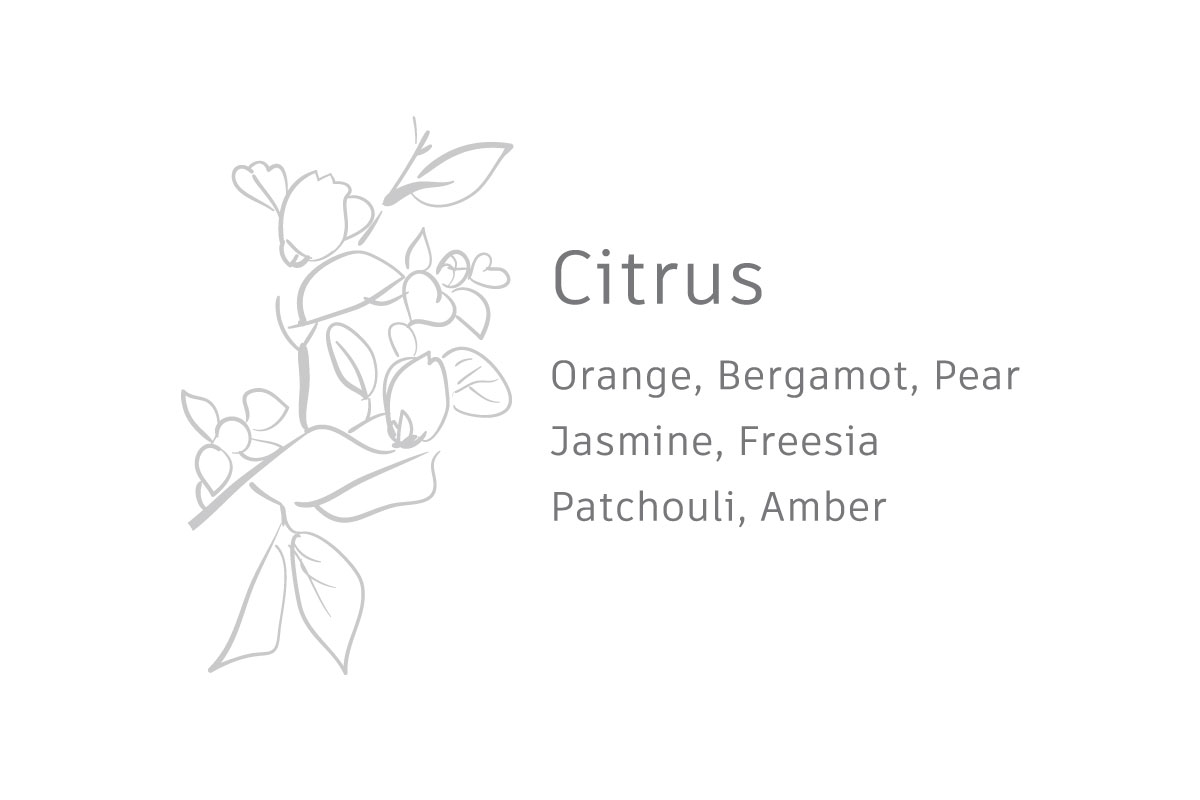 hg-citrus